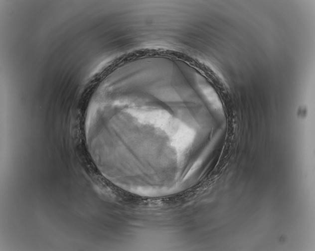 X0000096380968200802071509