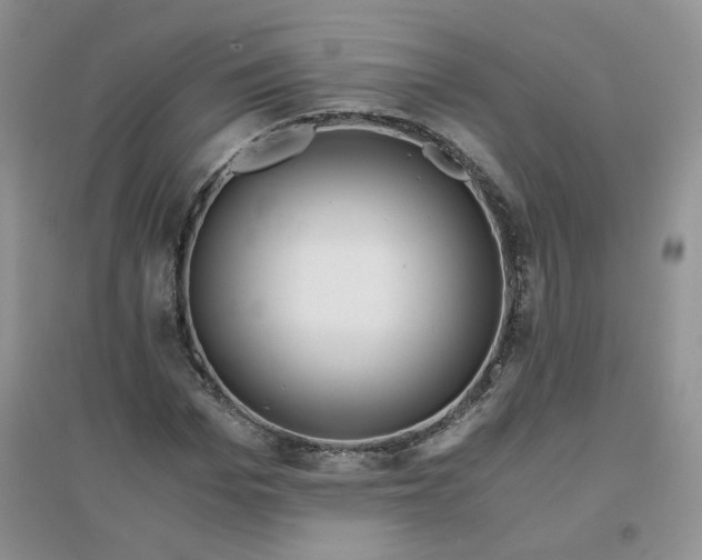 X0000096380969200802071509