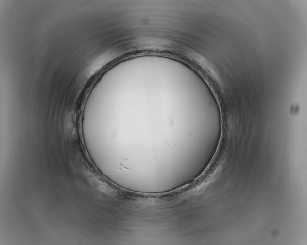 X0000096380970200802071509