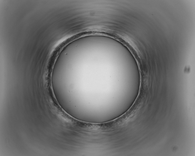 X0000096380971200802071509