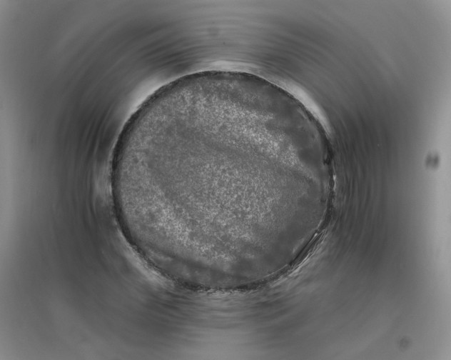 X0000096380972200802071509