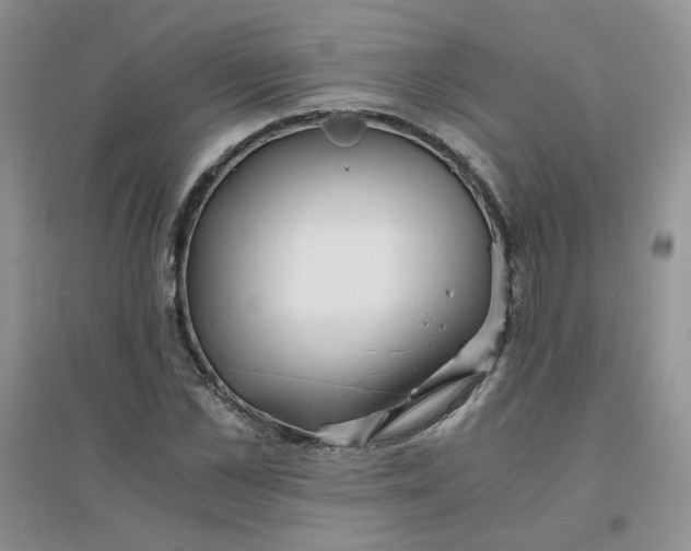 X0000096380973200802071509