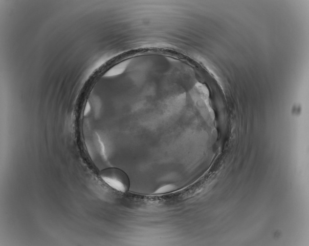 X0000096380975200802071509