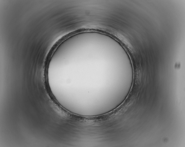 X0000096380976200802071509