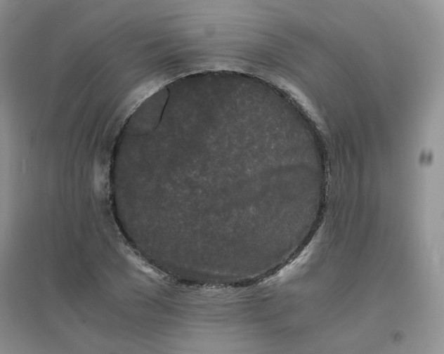 X0000096380977200802071509