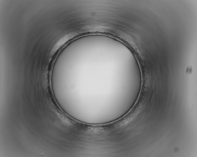 X0000096380978200802071509