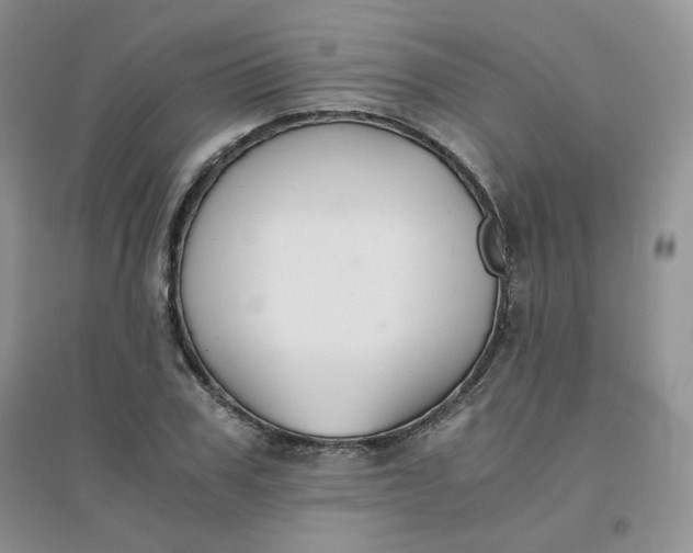 X0000096380979200802071509