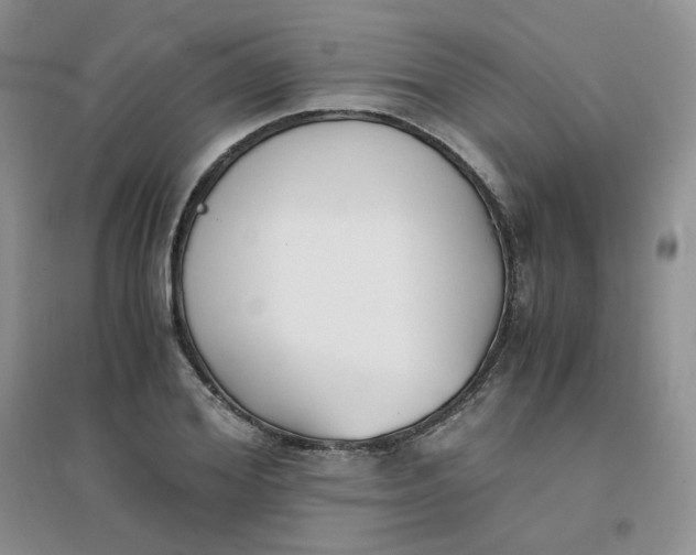 X0000096380980200802071509