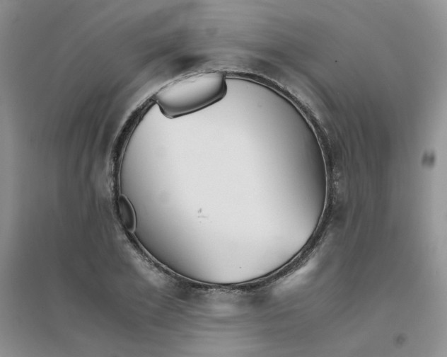 X0000096380981200802071509