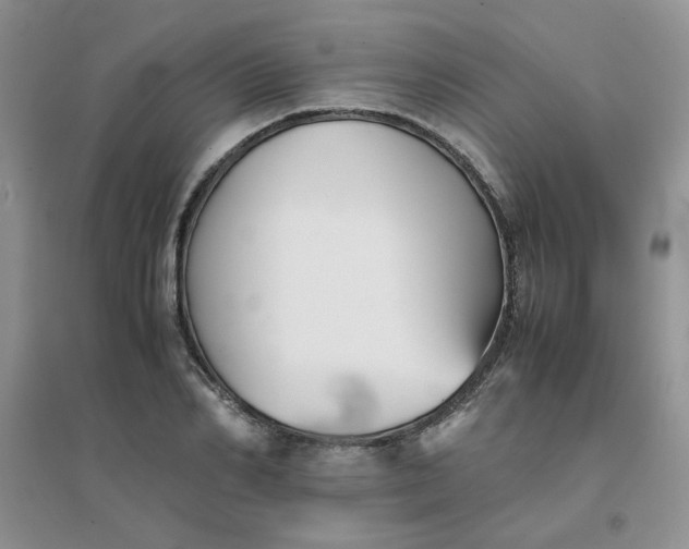 X0000096380982200802071509