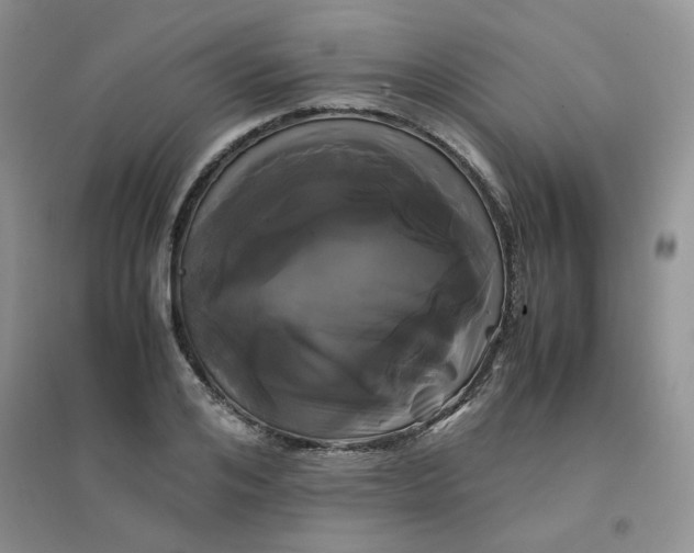 X0000096380984200802071509