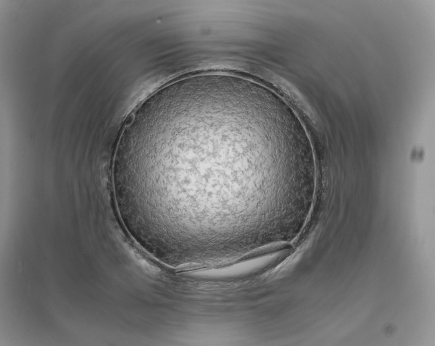 X0000096380985200802071509