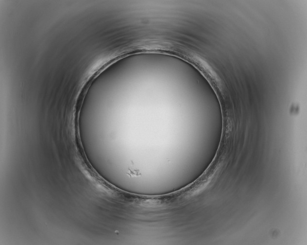 X0000096380986200802071509