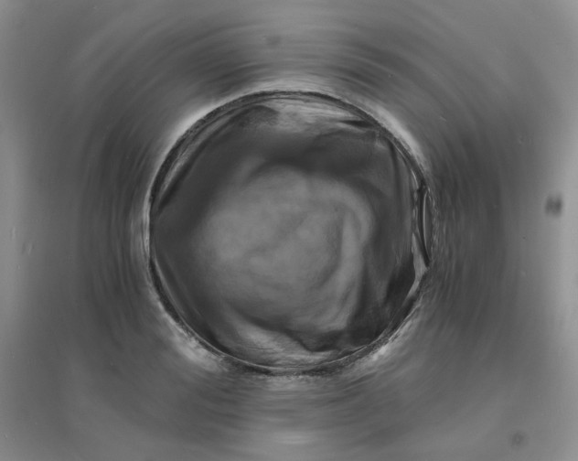 X0000096380988200802071509