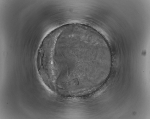 X0000096380991200802071509