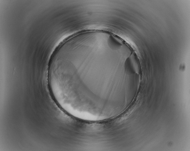 X0000096380992200802071509