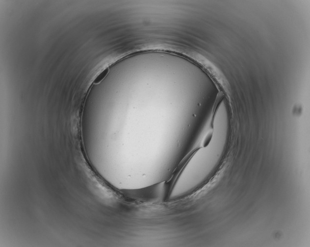 X0000096380993200802071509