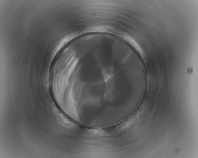 X0000096380994200802071509