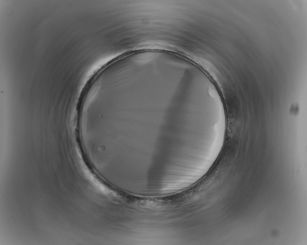 X0000096380995200802071509