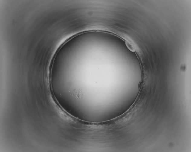 X0000096380996200802071509