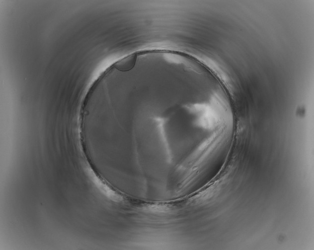 X0000096380998200802071509