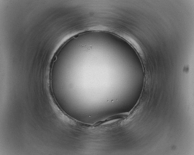 X0000096381000200802071509