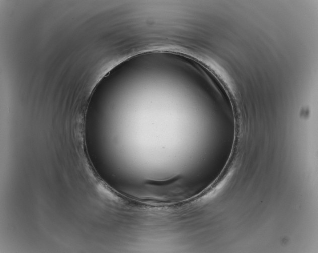 X0000096381001200802071509