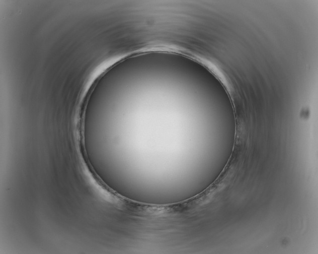 X0000096381003200802071509