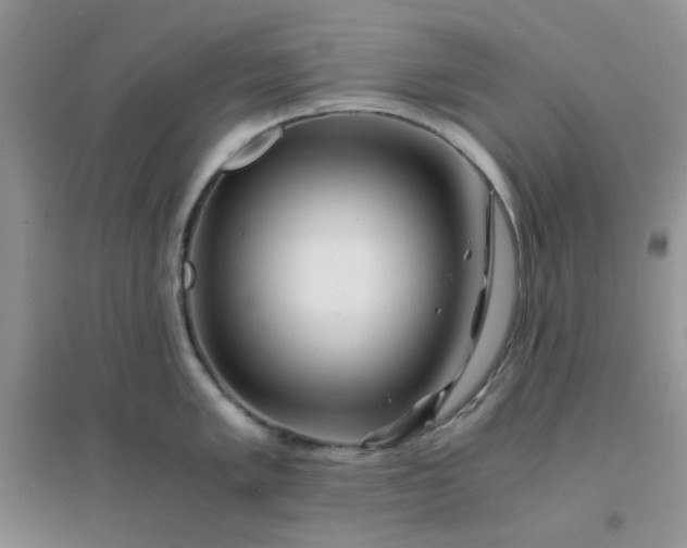 X0000096381005200802071509