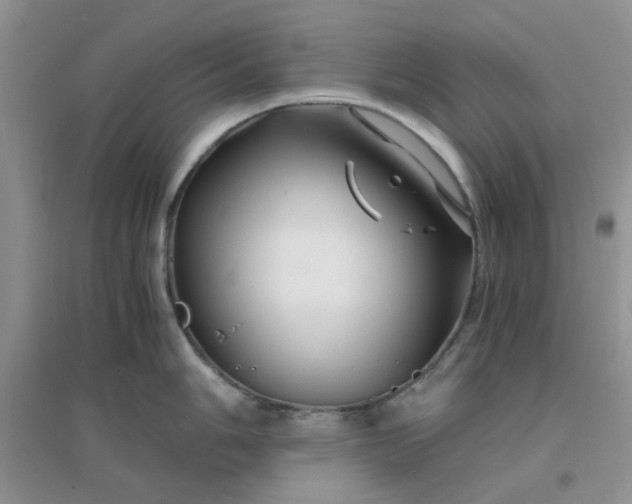 X0000096381006200802071509