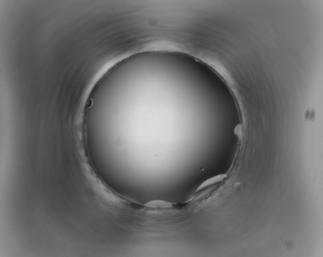 X0000096381008200802071509