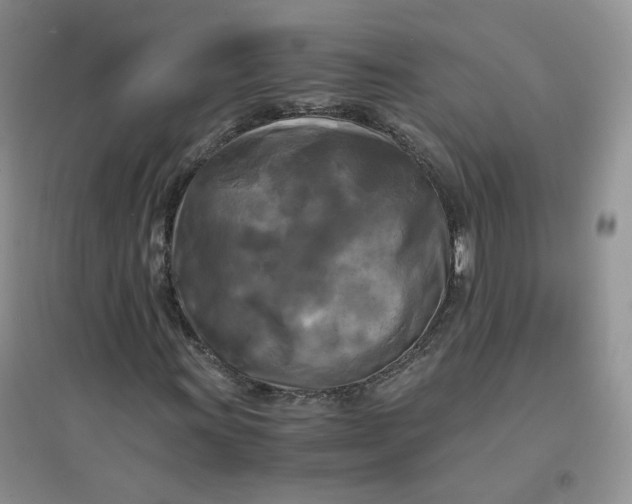 X0000096381011200802071508