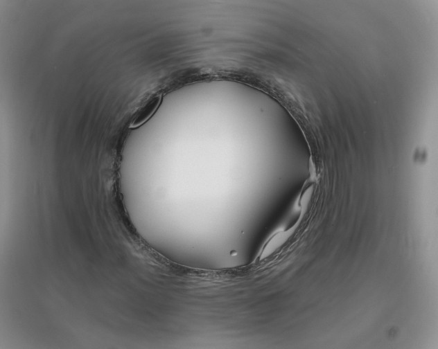 X0000096381012200802071508