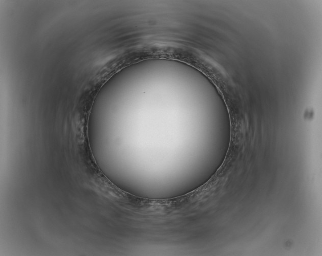 X0000096381013200802071508