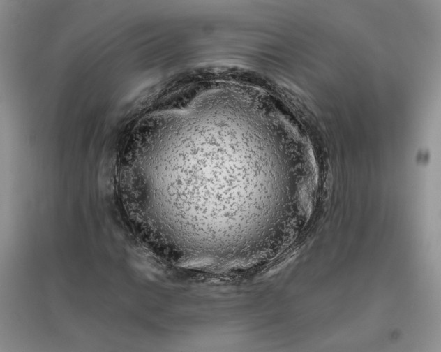 X0000096381014200802071508