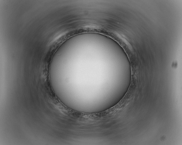 X0000096381015200802071508