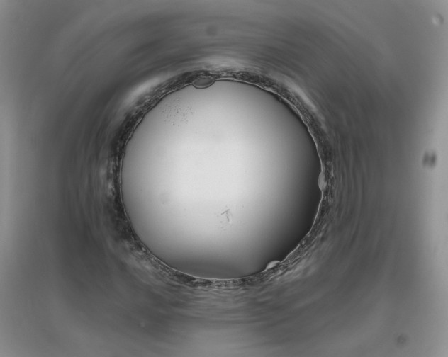 X0000096381016200802071508