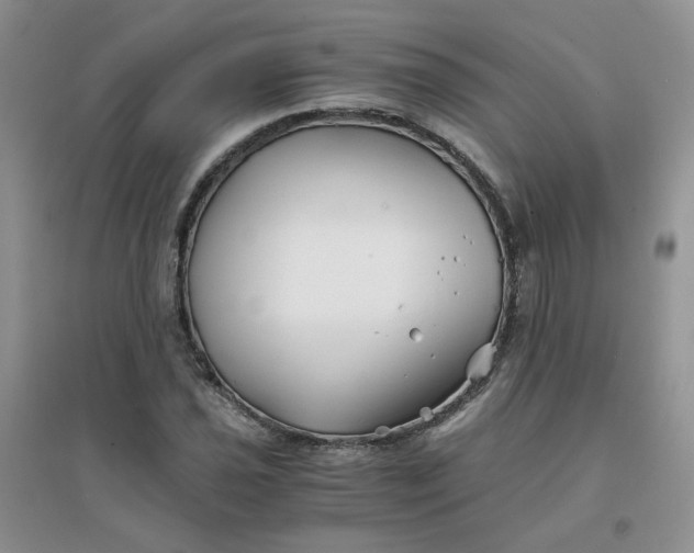 X0000096381021200802071508