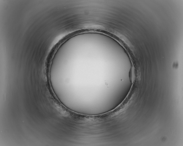 X0000096381022200802071508