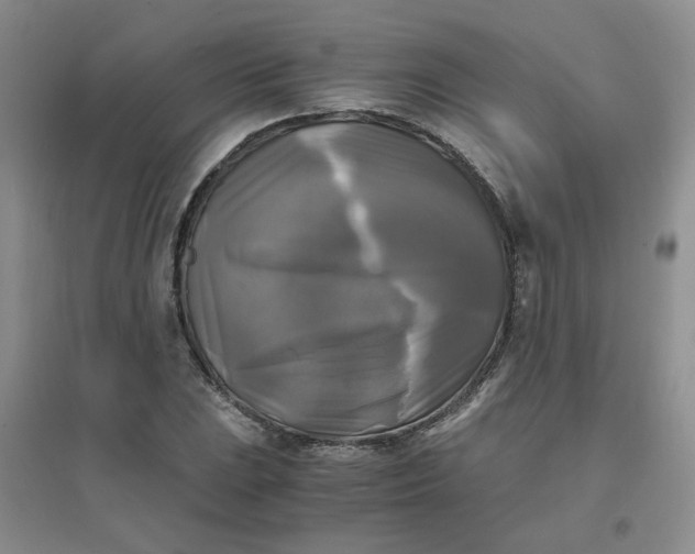 X0000096381023200802071508