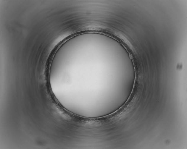 X0000096381026200802071508