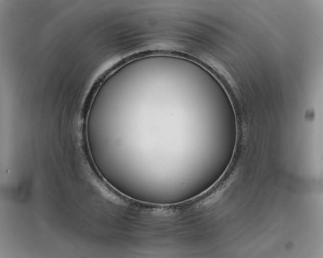 X0000096381029200802071509