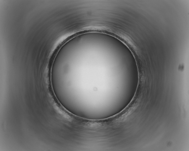 X0000096381030200802071509