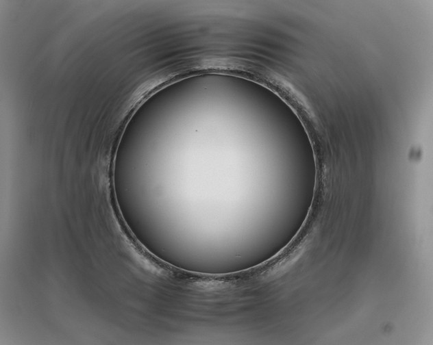 X0000096381033200802071509