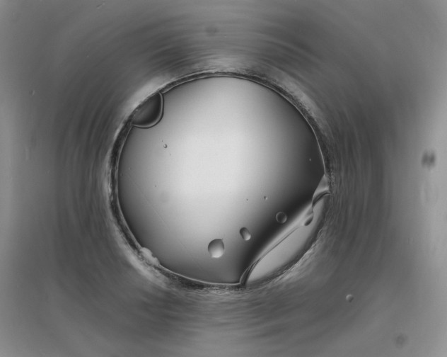 X0000096381034200802071509