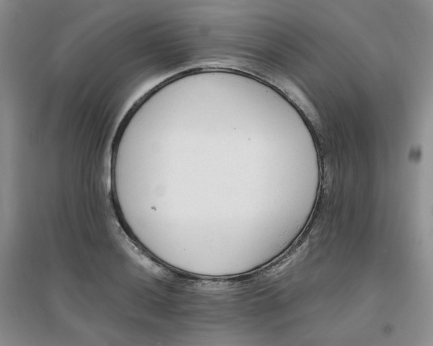 X0000096381036200802071509