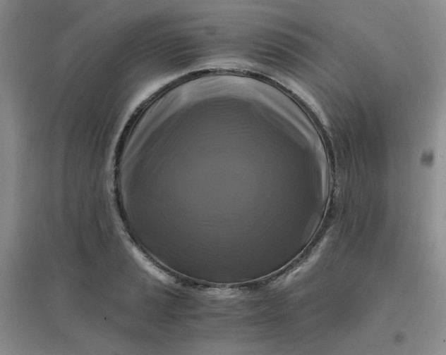 X0000096381037200802071509