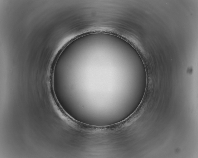 X0000096381038200802071509