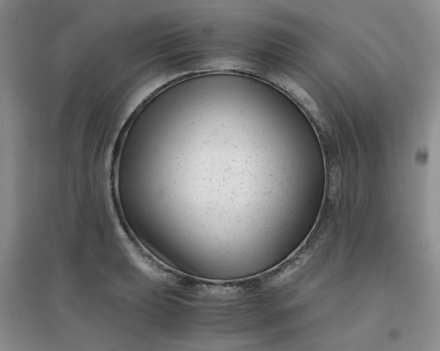 X0000096381039200802071509