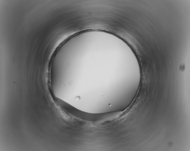 X0000096381040200802071509